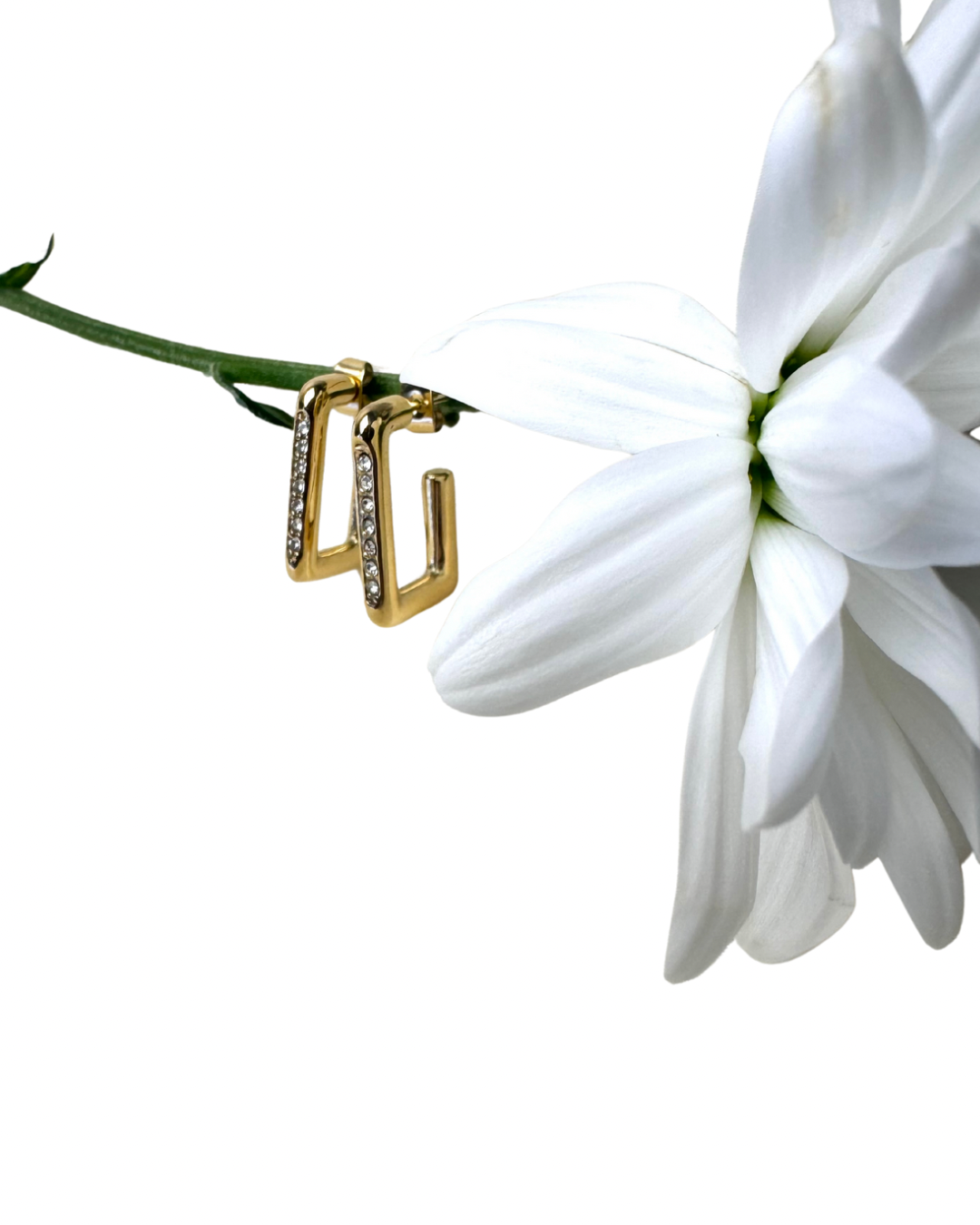 Aros circonitas